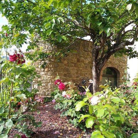Da Vinci Sweet Home Castiglion Fibocchi Zewnętrze zdjęcie