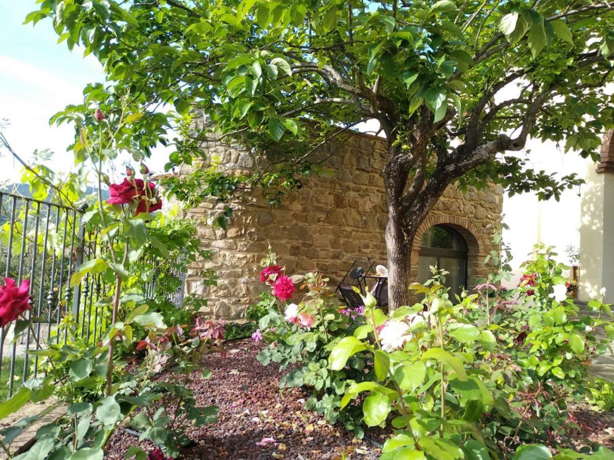 Da Vinci Sweet Home Castiglion Fibocchi Zewnętrze zdjęcie